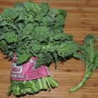 Broccoli Rabe – a.k.a. Rapini